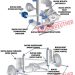 KIT5374AK-500x690.jpg