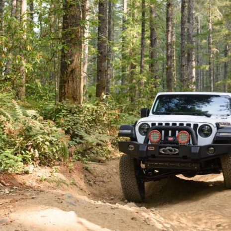 Kit-suspensie-OME-Nitrocharger-Sport-2.5-3.5-inch-Wrangler-JL-OME-JL-NS-2 Kit-suspensie-OME-Nitrocharger-Sport-2.5-3.5-inch-Wrangler-JL-OME-JL-NS-2