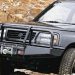 arb_vitara.jpg